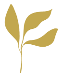 游戏更新 - 狗子28中国