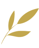 游戏更新 - 狗子28中国